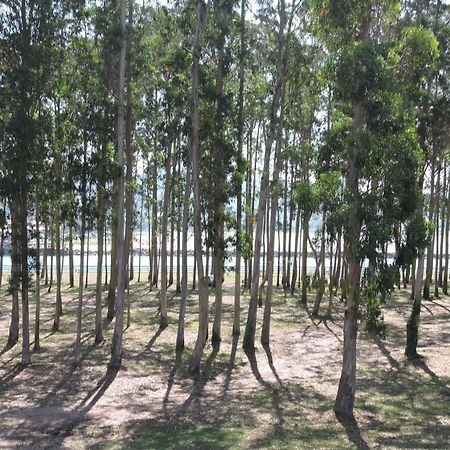Apartamento Pie De Playa, El Puntal-Villaviciosa Villaviciosa  Eksteriør bilde